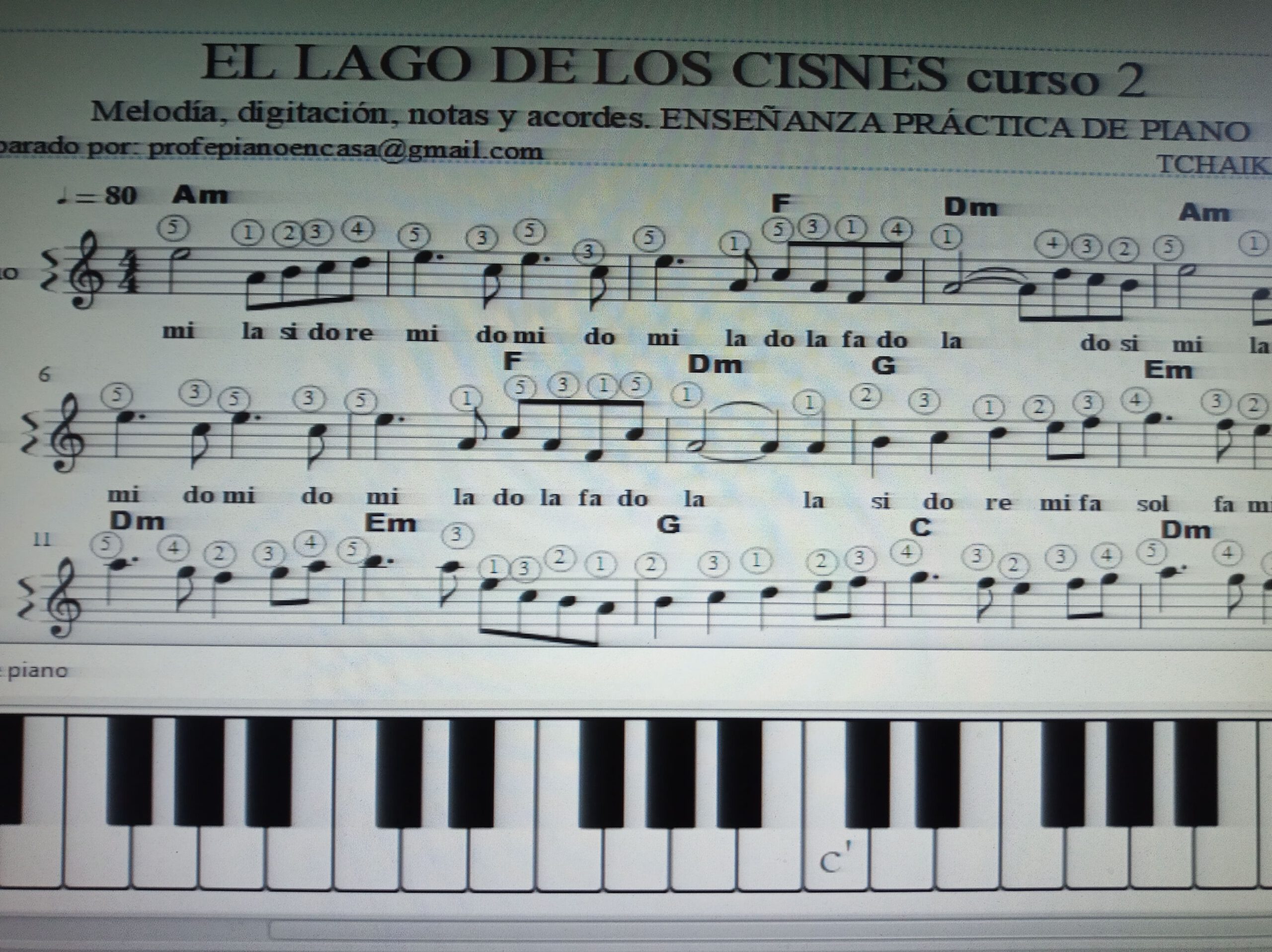 EL LAGO DE LOS CISNES-min